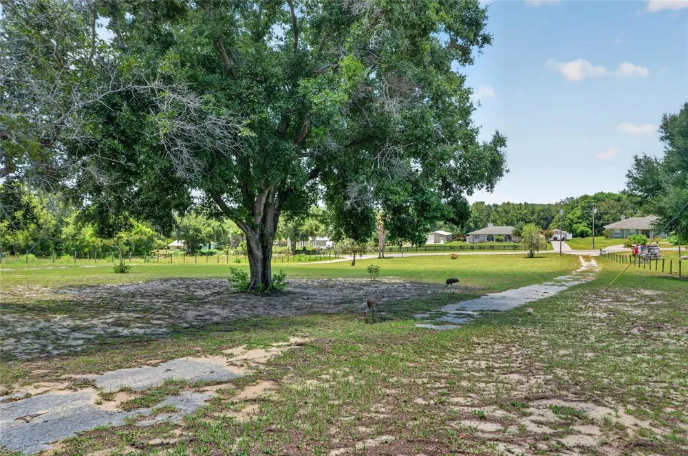 3830 GRIFFIN VIEW DRIVE Lady Lake, FL 32159
