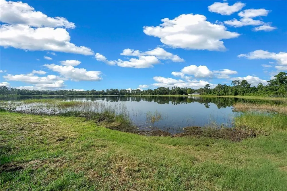 206 MALAUKA RADIAL Ocklawaha, FL 32179