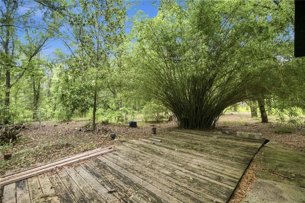 12897 NW HIGHWAY 225 Reddick, FL 32686