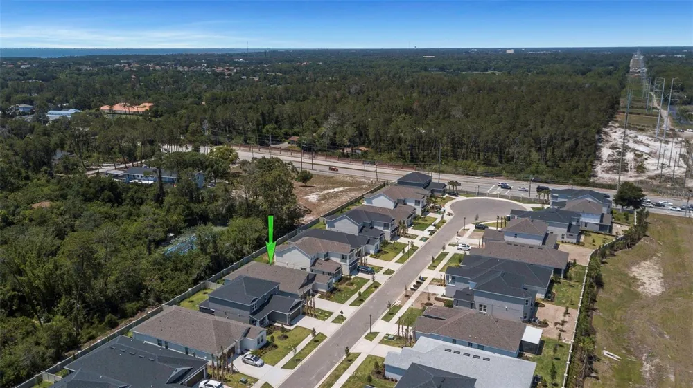2676 LEAFWING COURT Palm Harbor, FL 34683