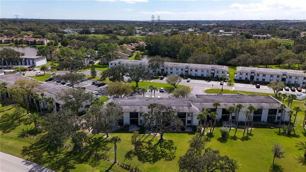117 E CYPRESS COURT #117 Oldsmar, FL 34677