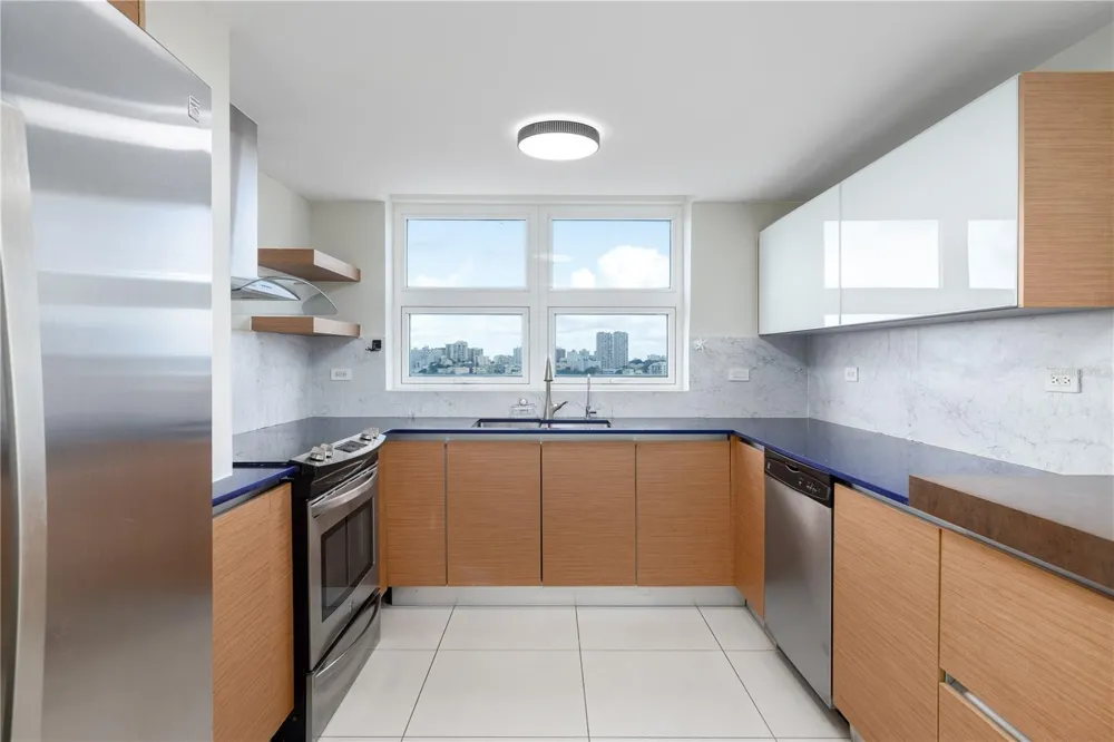 48 LUIS MUNOZ MARIN AVE AQUABLUE COND. #1503 San Juan, PR 00918