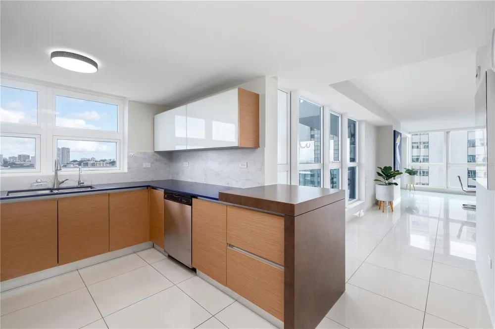 48 LUIS MUNOZ MARIN AVE AQUABLUE COND. #1503 San Juan, PR 00918