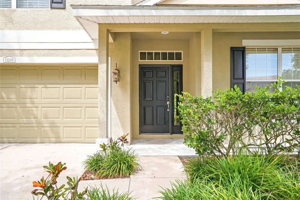12230 COLONY LAKES BOULEVARD New Port Richey, FL 34654