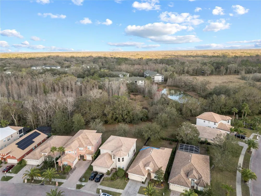 10888 CORY LAKE DRIVE Tampa, FL 33647