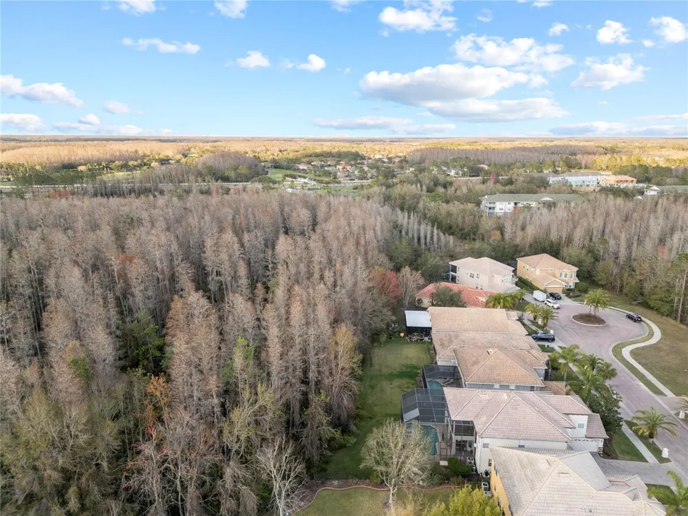 10888 CORY LAKE DRIVE Tampa, FL 33647