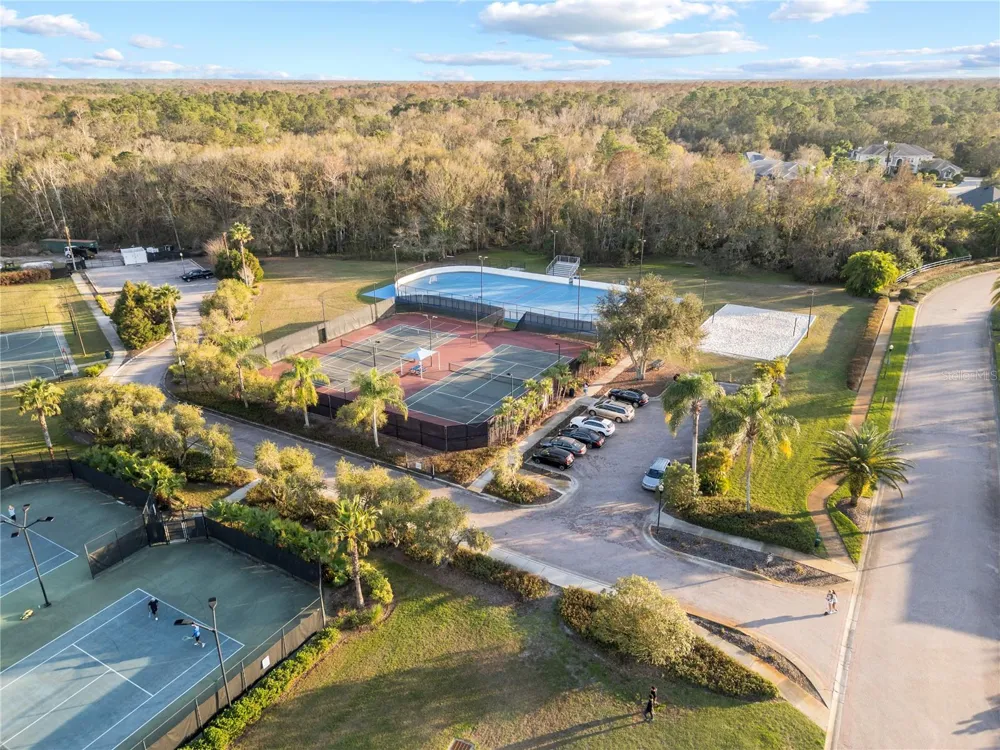 10888 CORY LAKE DRIVE Tampa, FL 33647