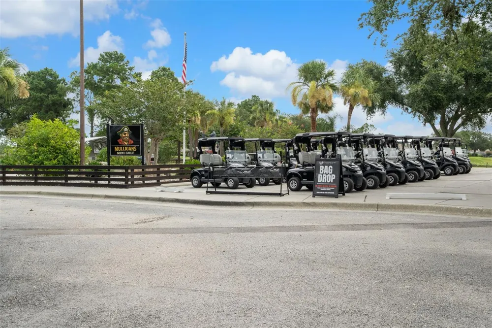 23836 HASTINGS WAY Land O Lakes, FL 34639