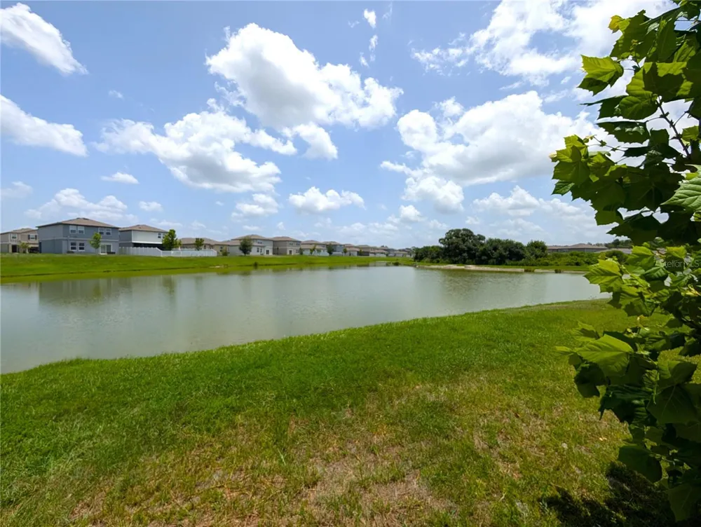 35491 SHADE FERN LANE Zephyrhills, FL 33541