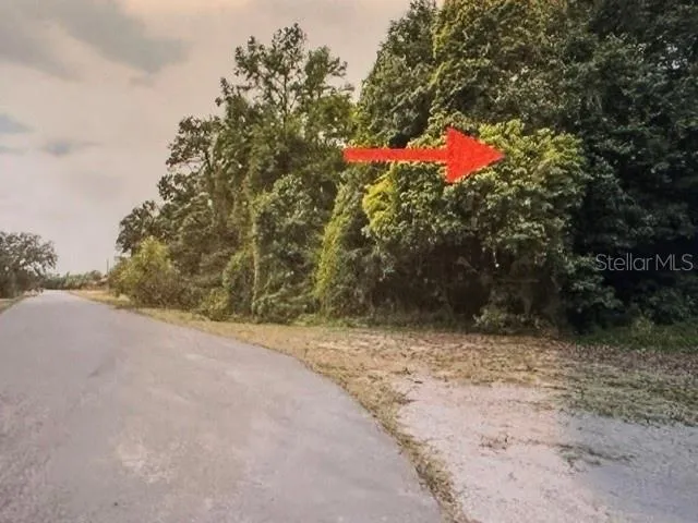IRON BRIDGE ROAD Oviedo, FL 32765