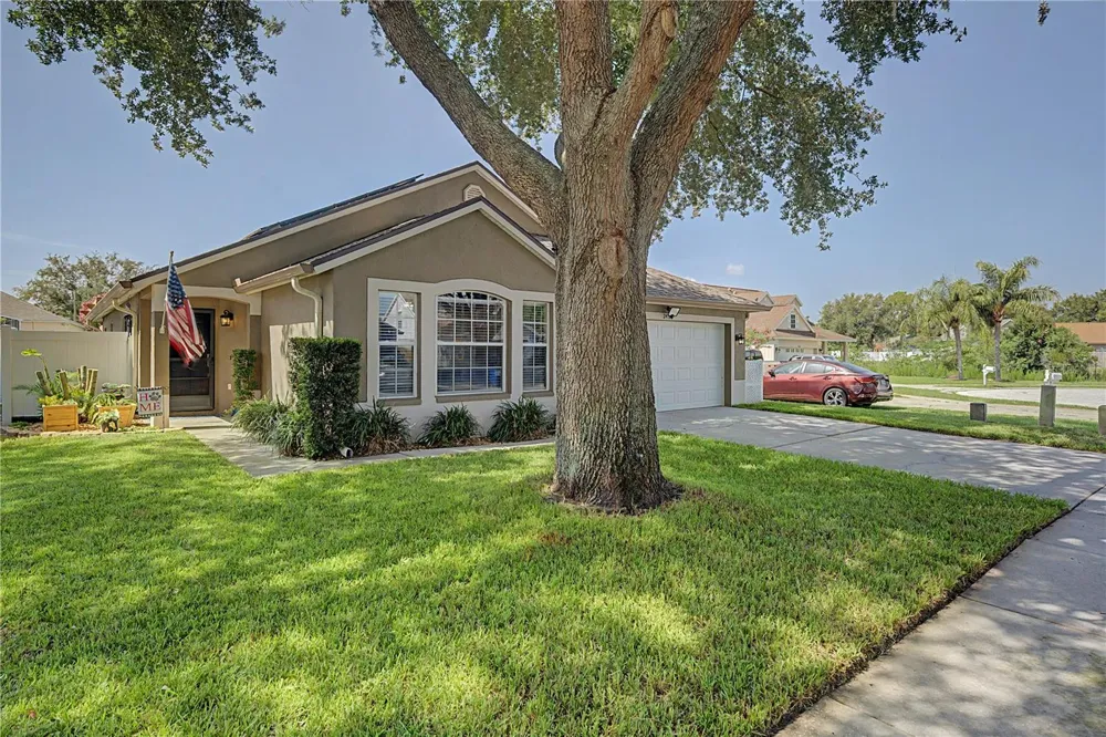 24328 MISTWOOD COURT Lutz, FL 33559