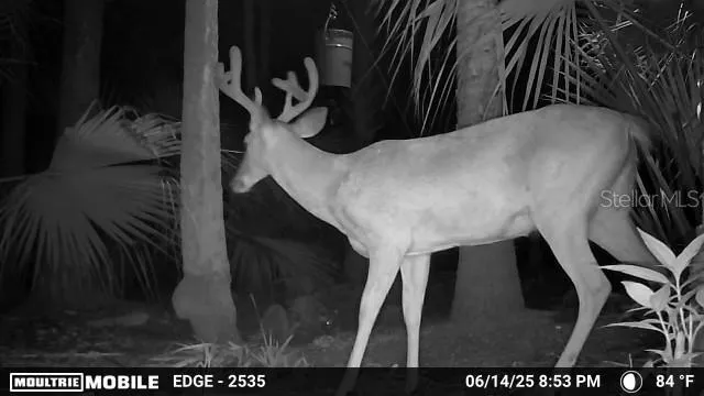 VOLCO ROAD Edgewater, FL 32141
