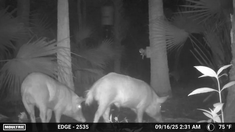 VOLCO ROAD Edgewater, FL 32141