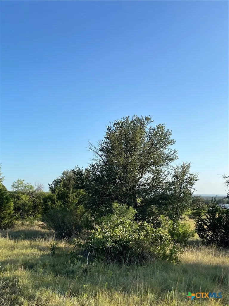 943 US Highway 183 Goldthwaite, TX 76844