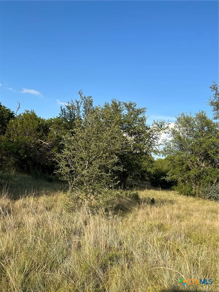 943 US Highway 183 Goldthwaite, TX 76844