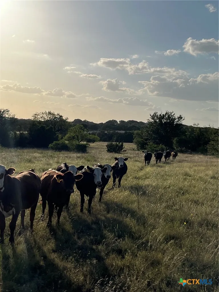 943 US Highway 183 Goldthwaite, TX 76844