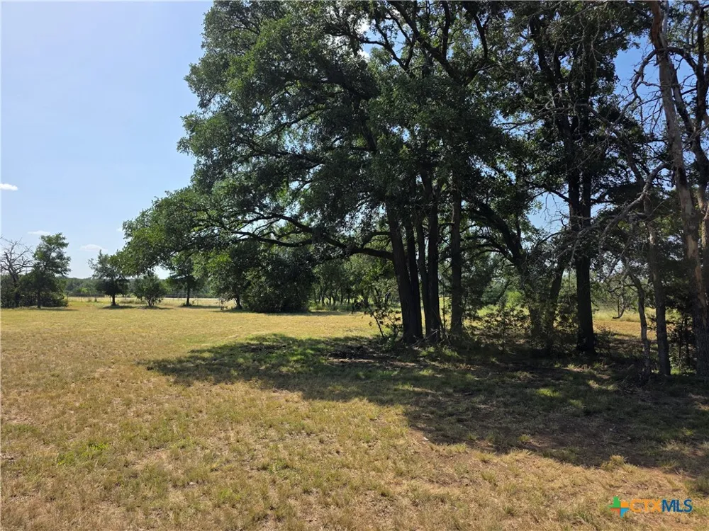 237 Oak Glen Lane Briggs, TX 78608