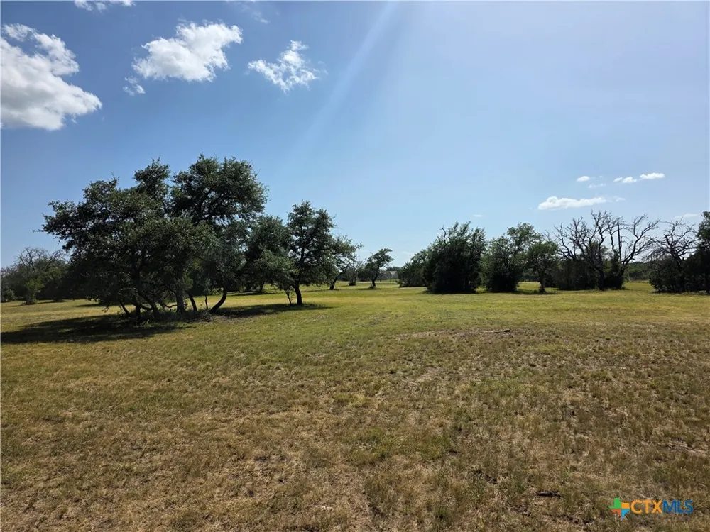 237 Oak Glen Lane Briggs, TX 78608