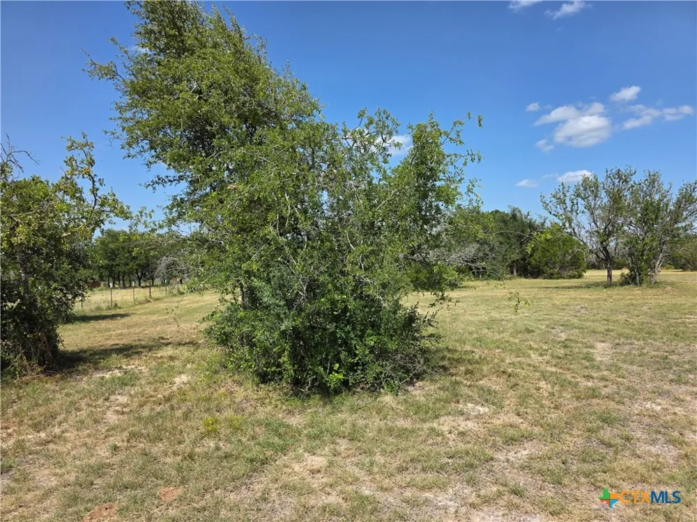 237 Oak Glen Lane Briggs, TX 78608