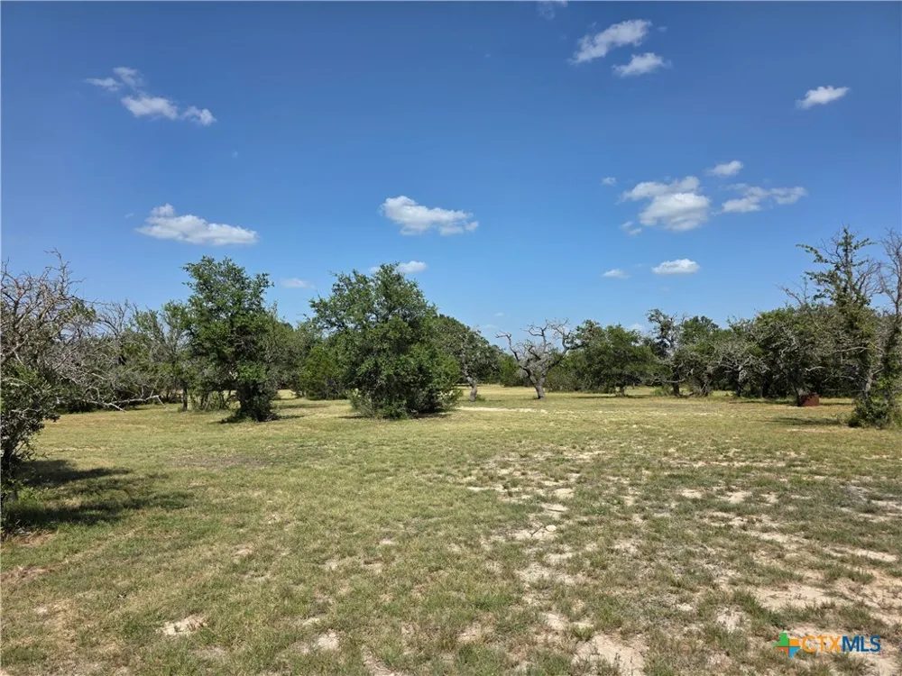 237 Oak Glen Lane Briggs, TX 78608