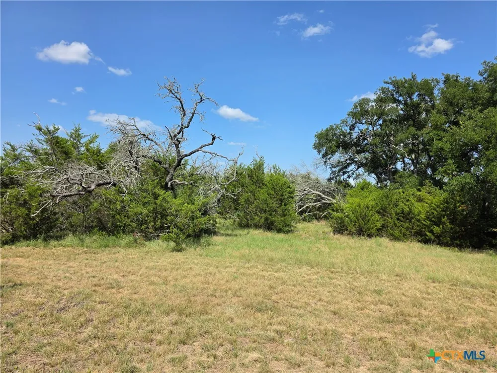237 Oak Glen Lane Briggs, TX 78608