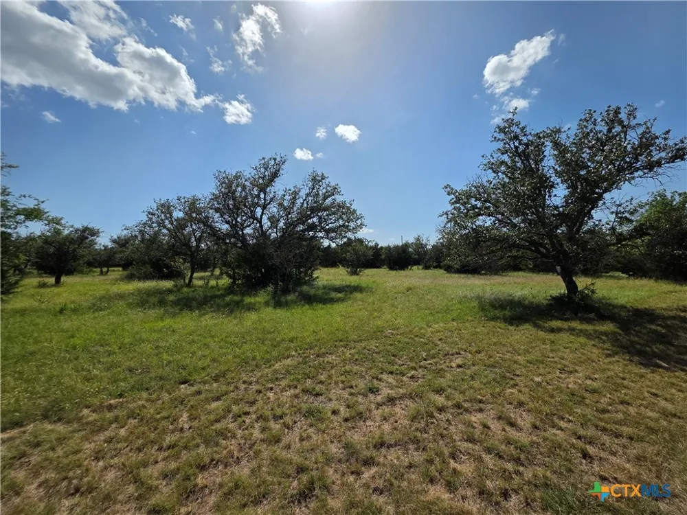 237 Oak Glen Lane Briggs, TX 78608