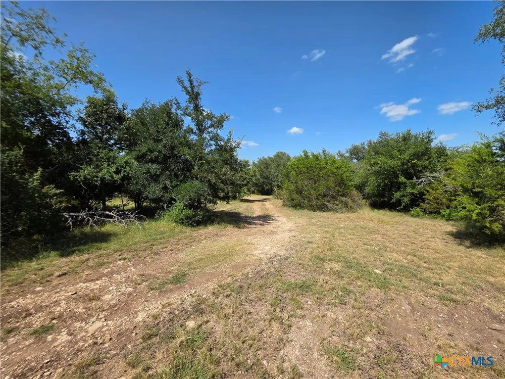 237 Oak Glen Lane Briggs, TX 78608