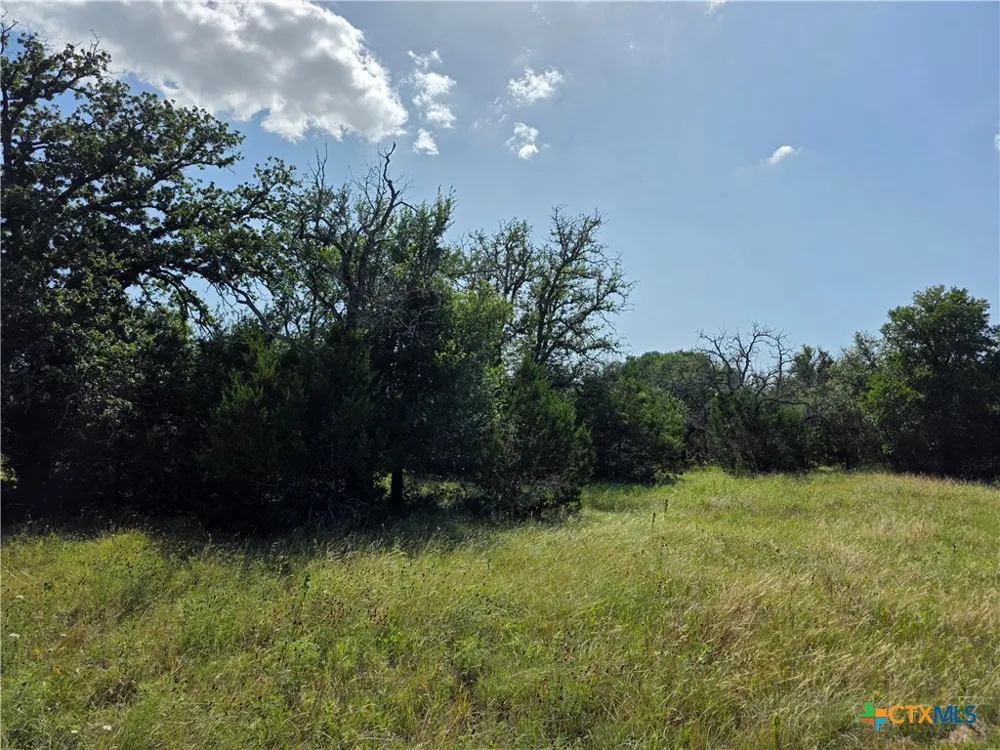 237 Oak Glen Lane Briggs, TX 78608