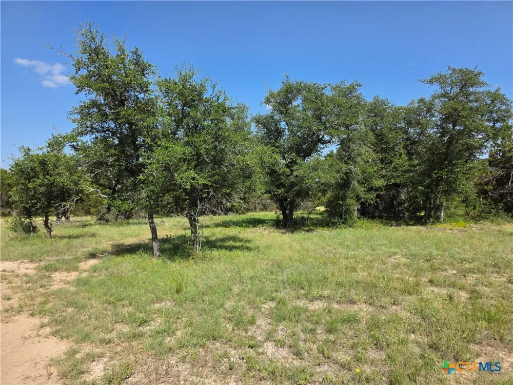 237 Oak Glen Lane Briggs, TX 78608