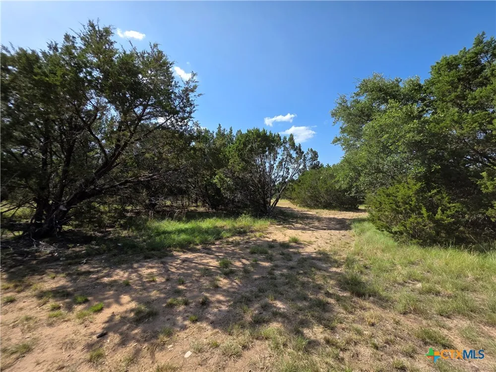 237 Oak Glen Lane Briggs, TX 78608
