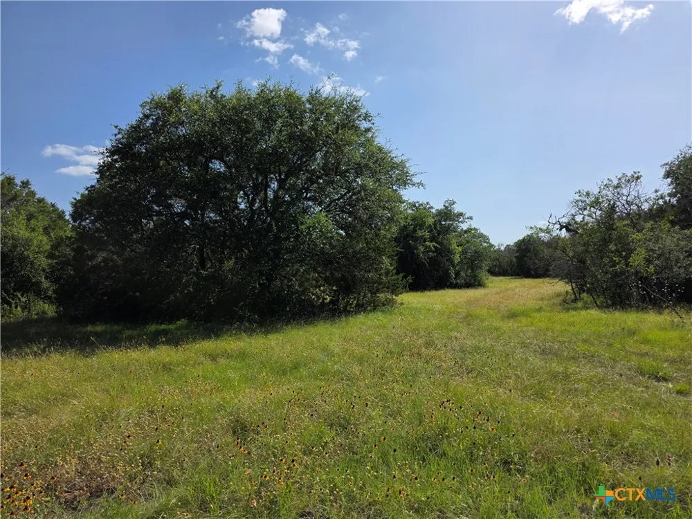 237 Oak Glen Lane Briggs, TX 78608
