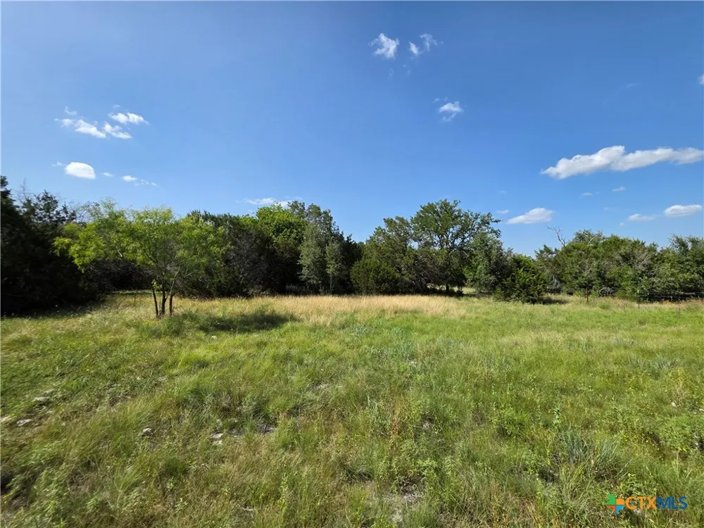 237 Oak Glen Lane Briggs, TX 78608
