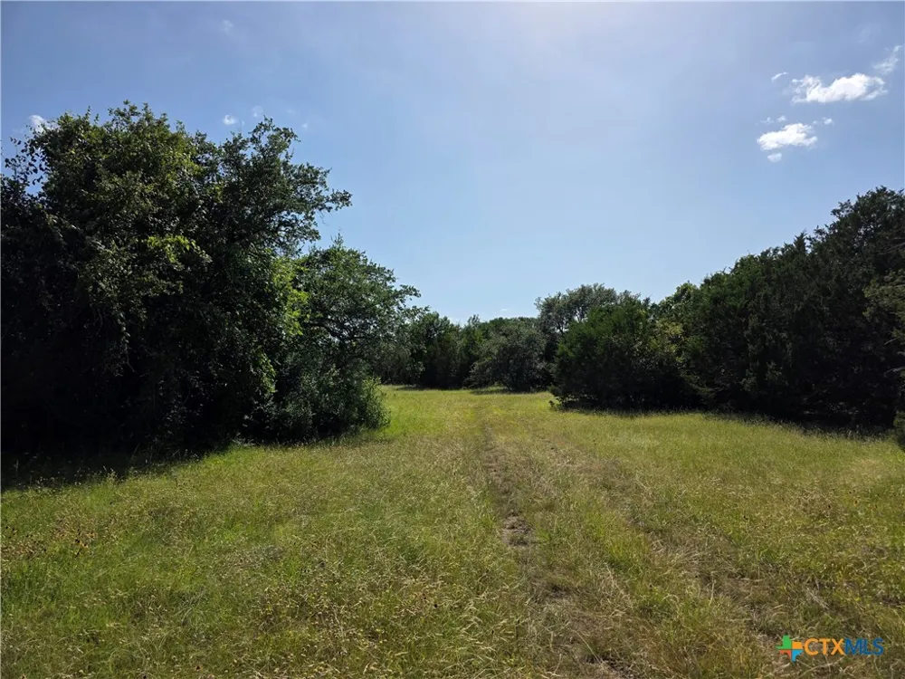 237 Oak Glen Lane Briggs, TX 78608