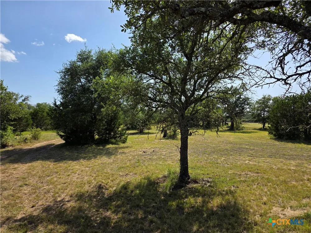 237 Oak Glen Lane Briggs, TX 78608