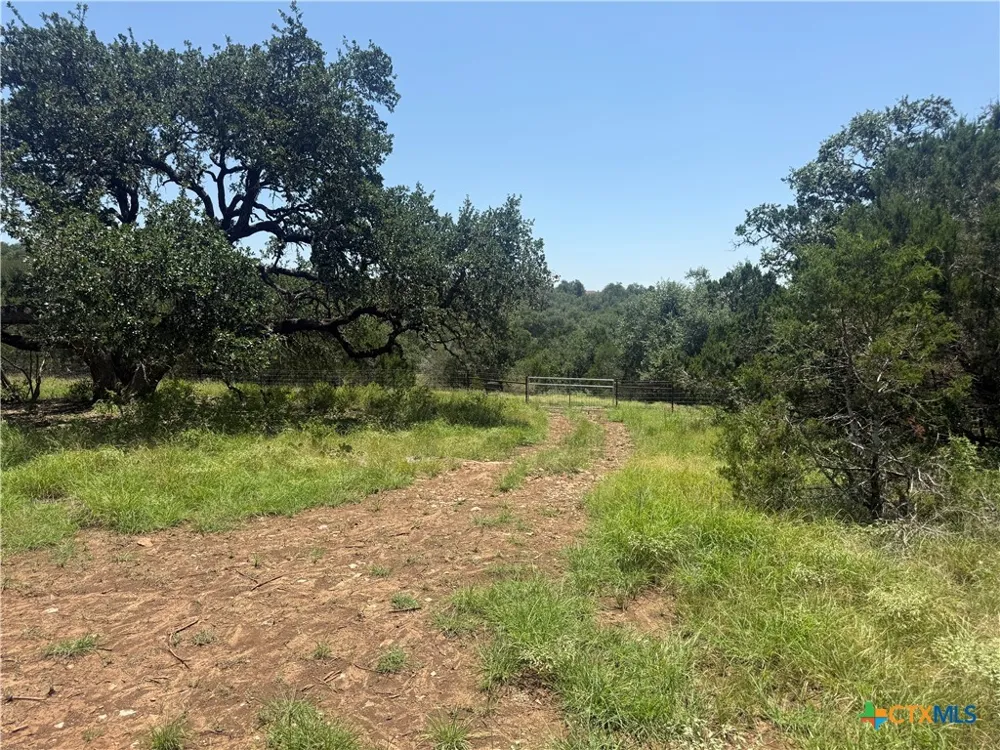 2090 Wegner Road New Braunfels, TX 78132
