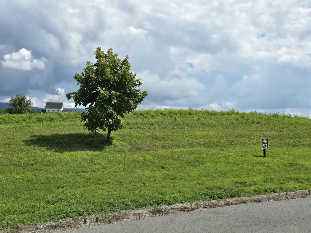 92 Farmview Way Drive Dunlap, TN 37327