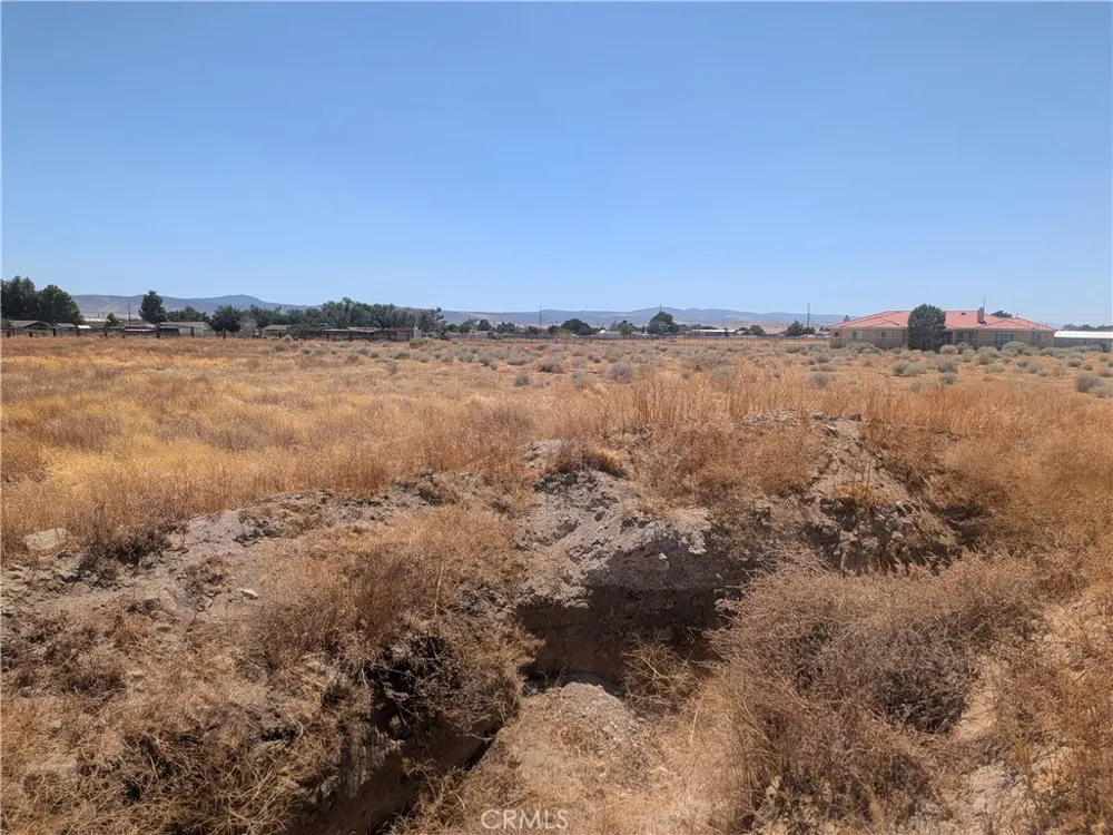 87 W Ave E-2 Antelope Acres, CA 93536