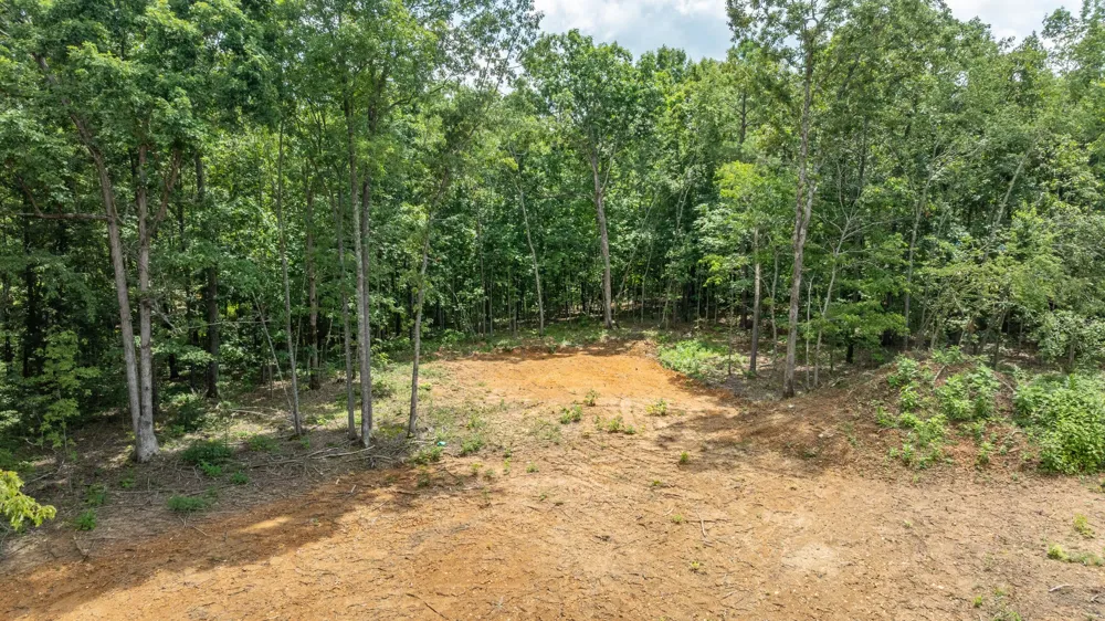 348 Columbia Ave Hohenwald, TN 38462