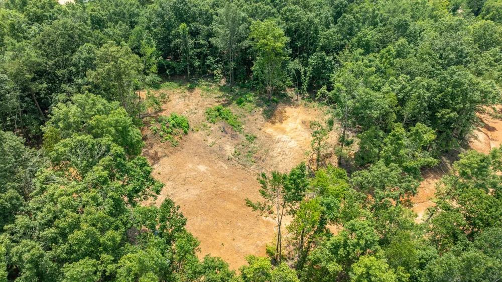 348 Columbia Ave Hohenwald, TN 38462