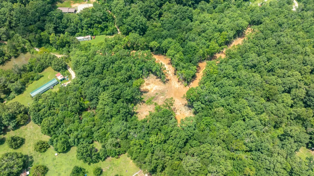 348 Columbia Ave Hohenwald, TN 38462