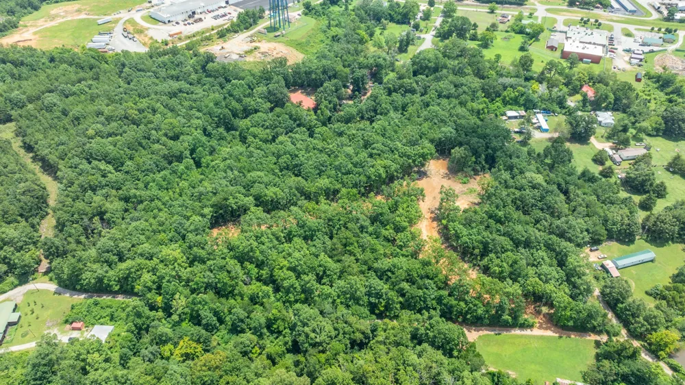 348 Columbia Ave Hohenwald, TN 38462