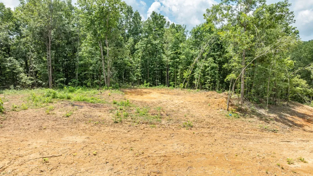 348 Columbia Ave Hohenwald, TN 38462