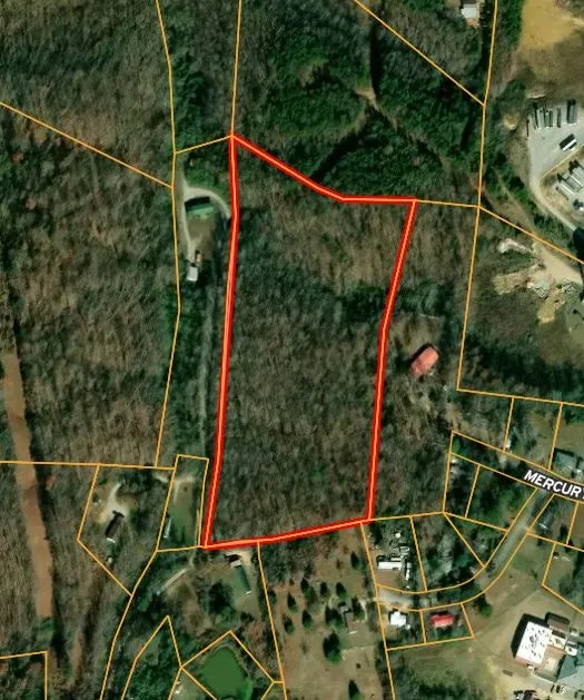 348 Columbia Ave Hohenwald, TN 38462