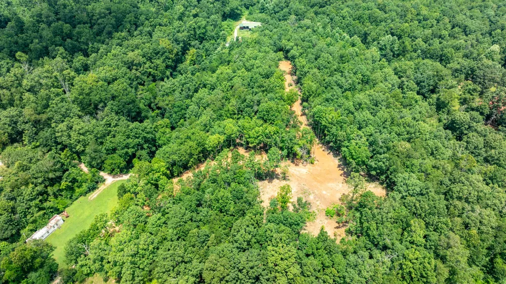 348 Columbia Ave Hohenwald, TN 38462