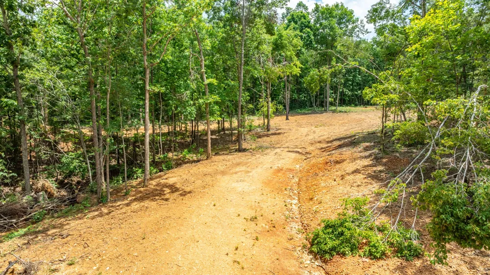 348 Columbia Ave Hohenwald, TN 38462