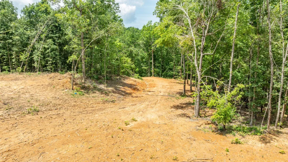 348 Columbia Ave Hohenwald, TN 38462