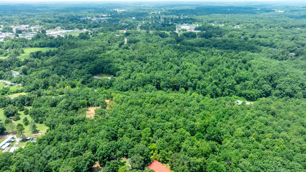 348 Columbia Ave Hohenwald, TN 38462