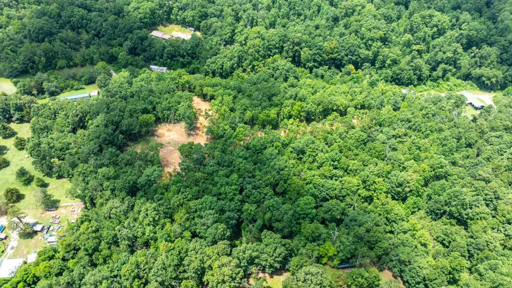 348 Columbia Ave Hohenwald, TN 38462
