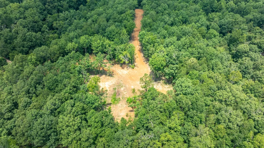 348 Columbia Ave Hohenwald, TN 38462