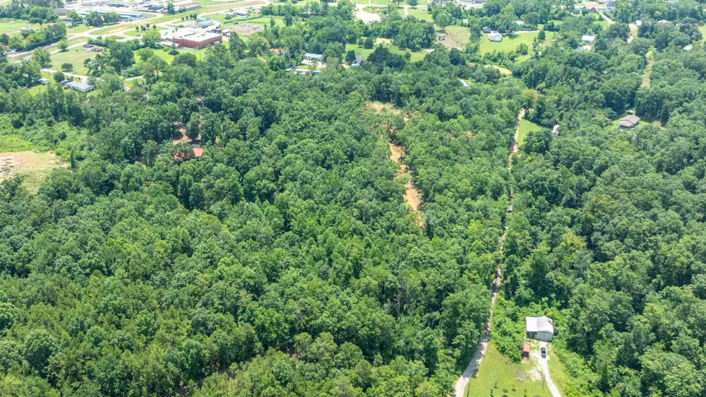 348 Columbia Ave Hohenwald, TN 38462